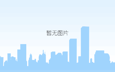 领域